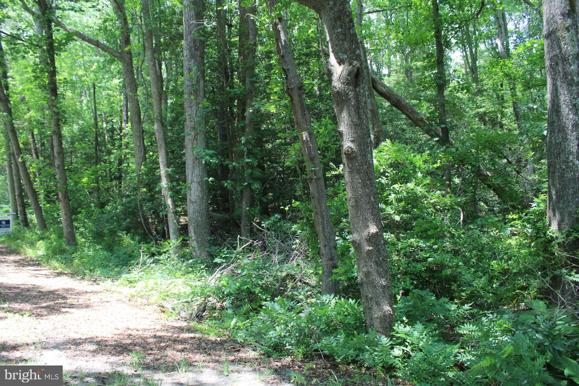 Lot 3 Jackson Road Salisbury, MD 21804 - Photo 16 of 20