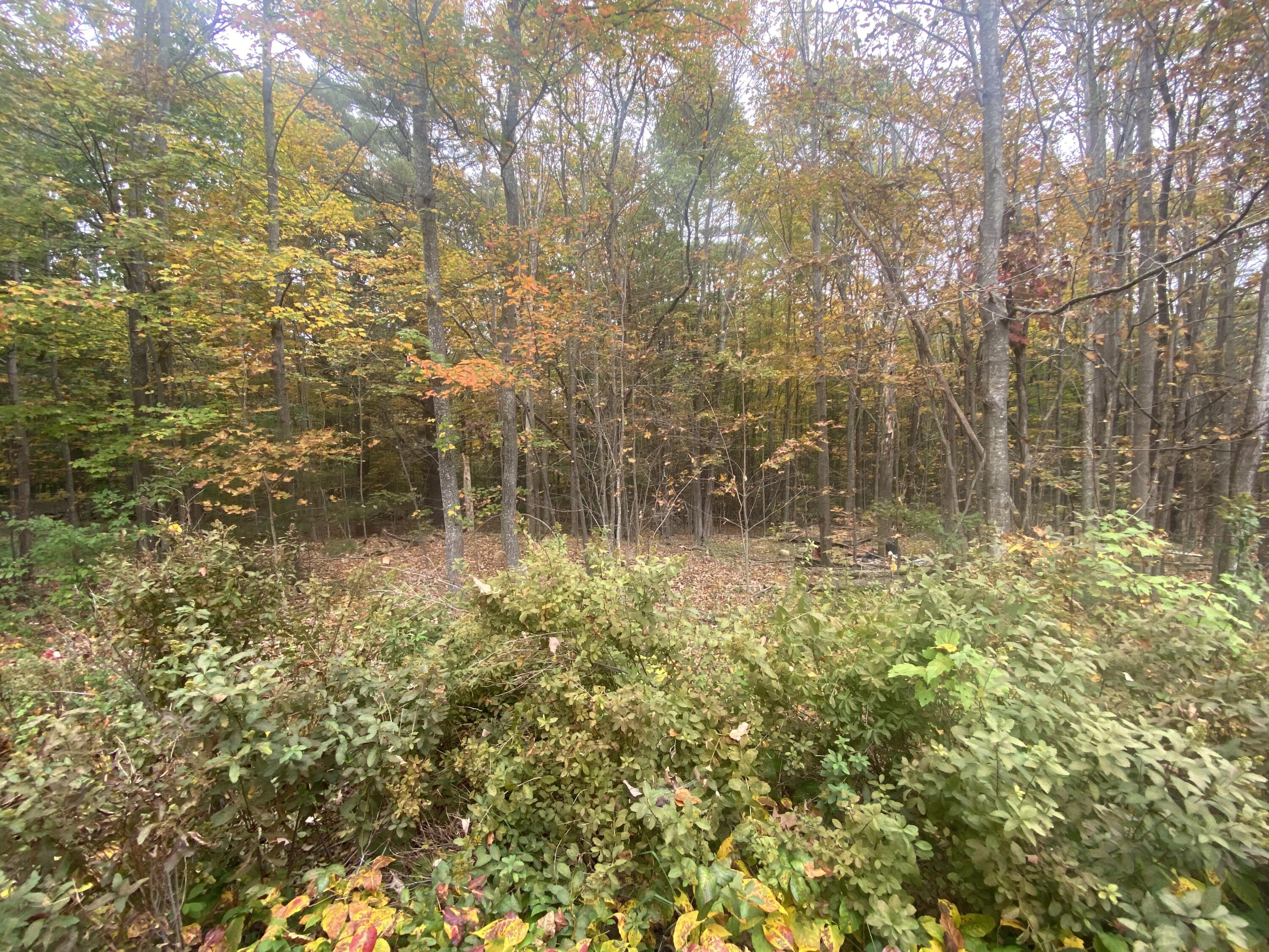 5 Old Mountain Road Cape Neddick, ME 03902 - Photo 5 of 5 IMG_7130
