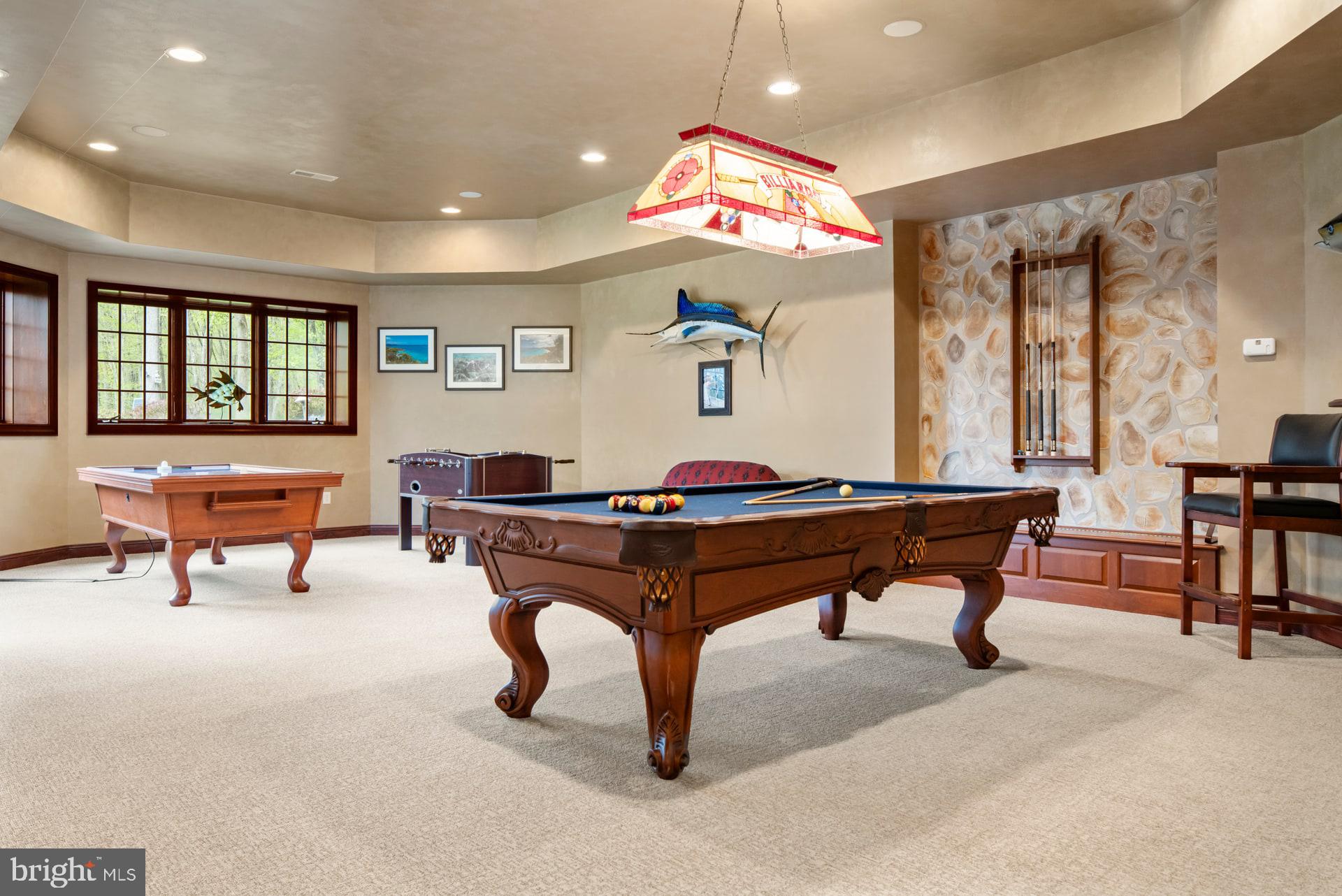 203 Wecks Pond Road New Hope, PA 18938 - Photo 44 of 68 Entertainment Area in Basement