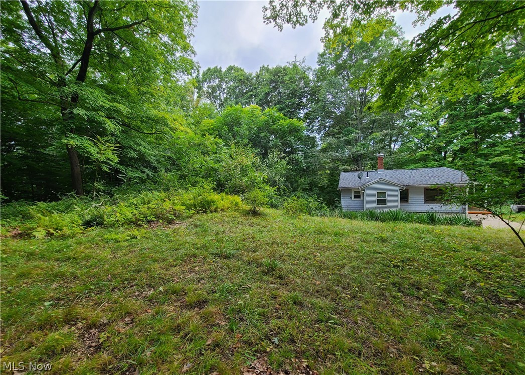 3120 East Waterloo Road Akron, OH 44312 - Photo 9 of 12