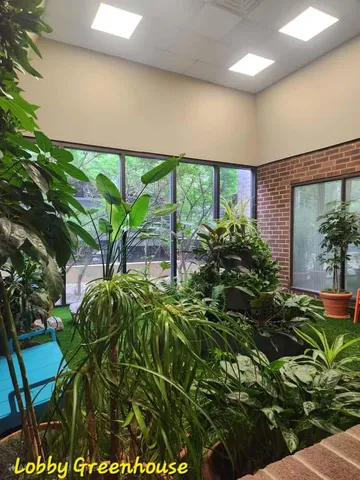 a backyard of a house