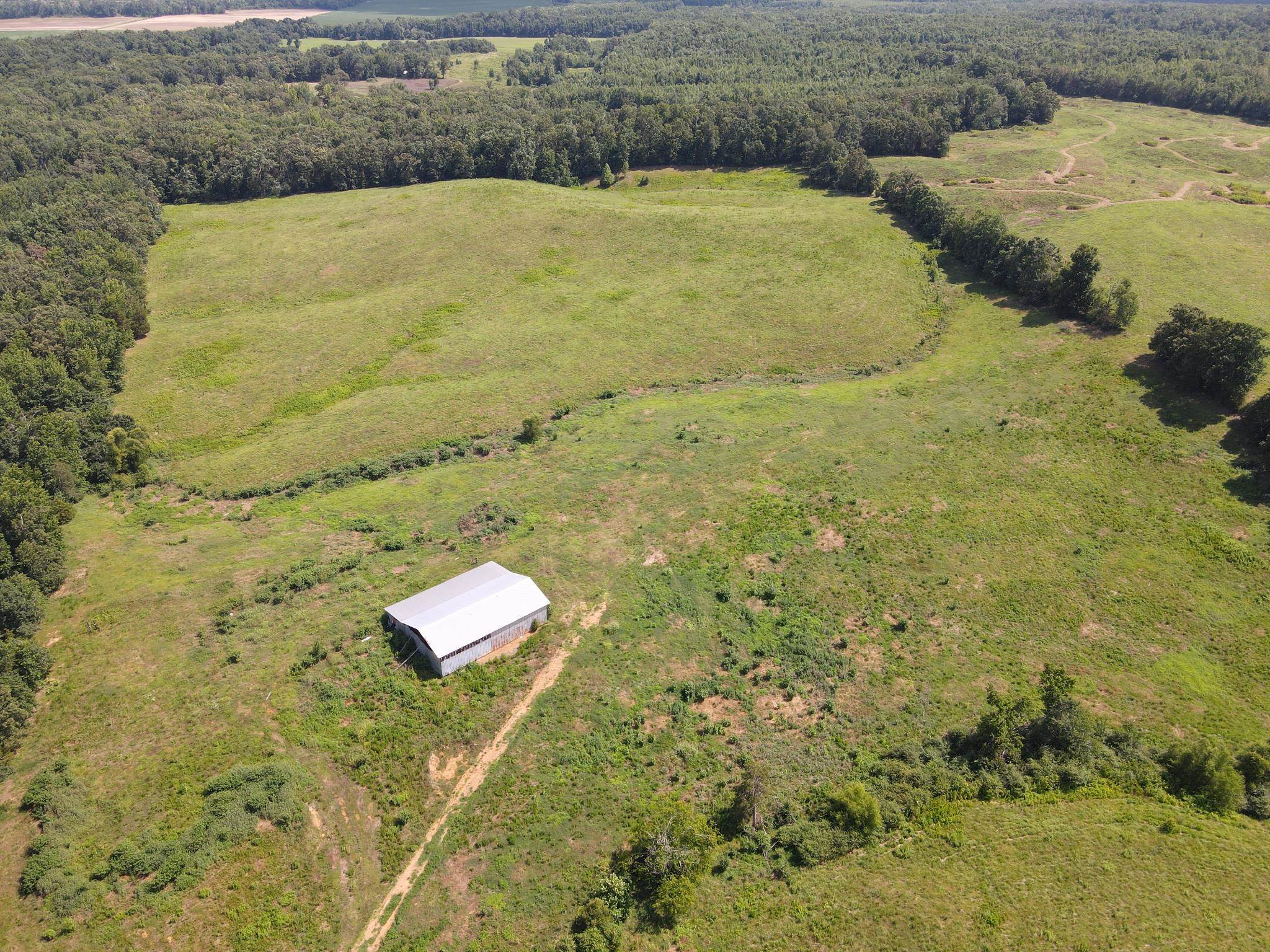1 Saltillo Road Morris Chapel, TN 38361 - Photo 9 of 40