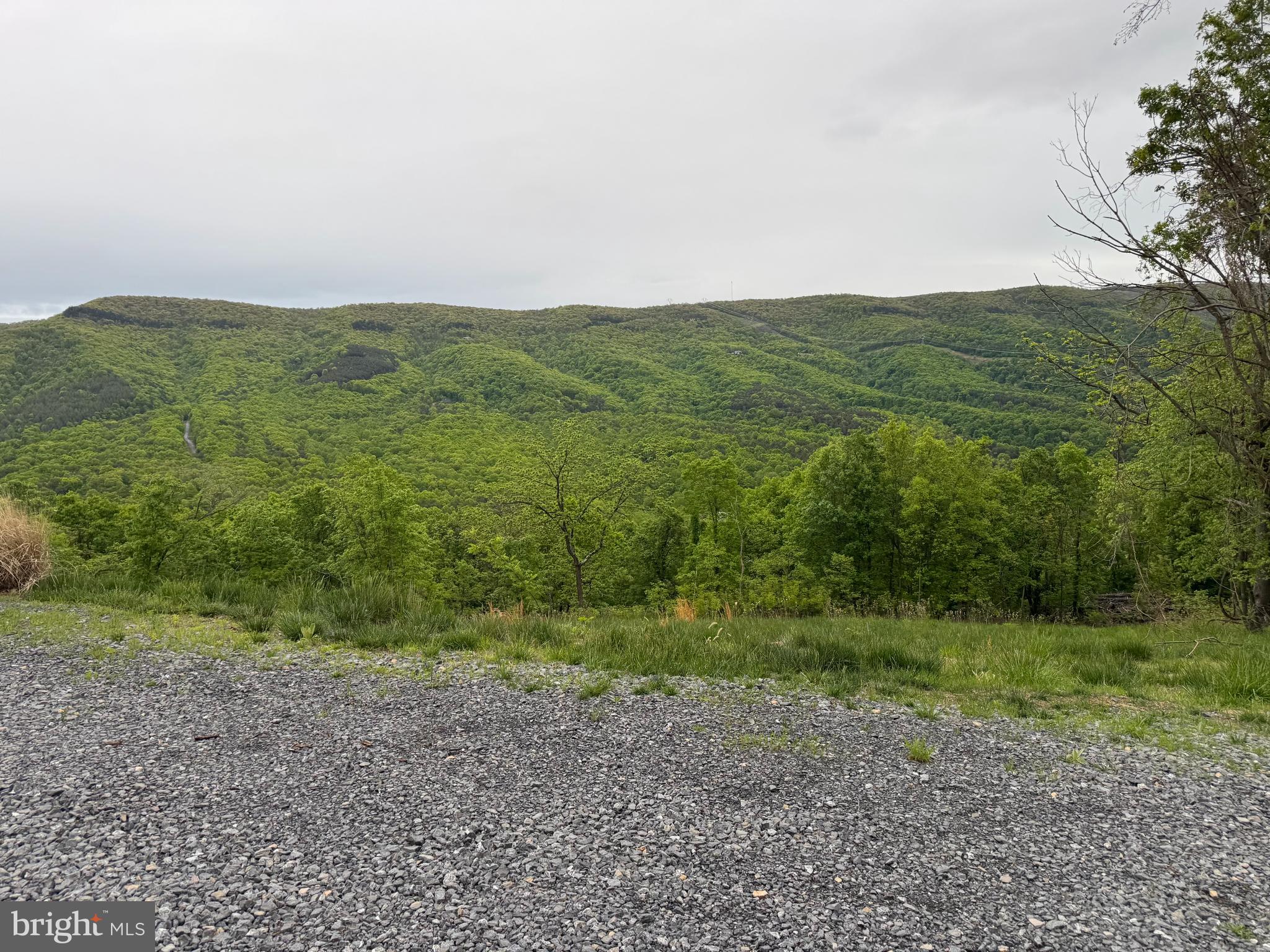 213 Hampshire Ridge Romney, WV 26757 - Photo 2 of 8 a view of a field with an trees