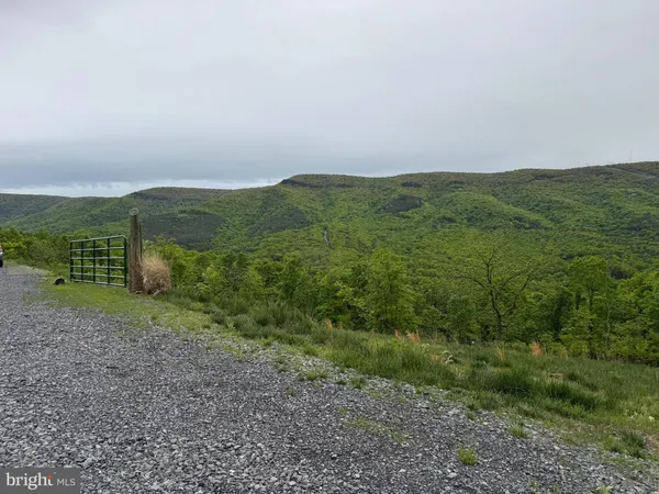 a view of a field with an ocean