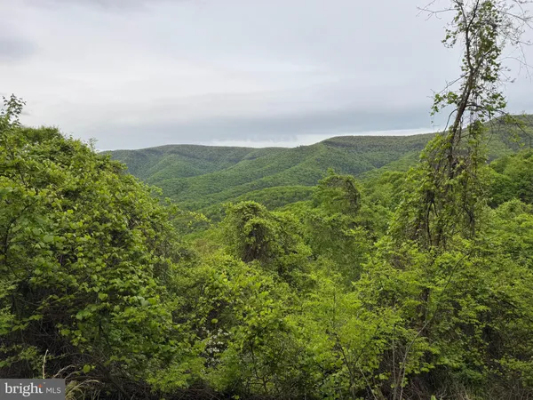 a view of a lush green field with lots of trees