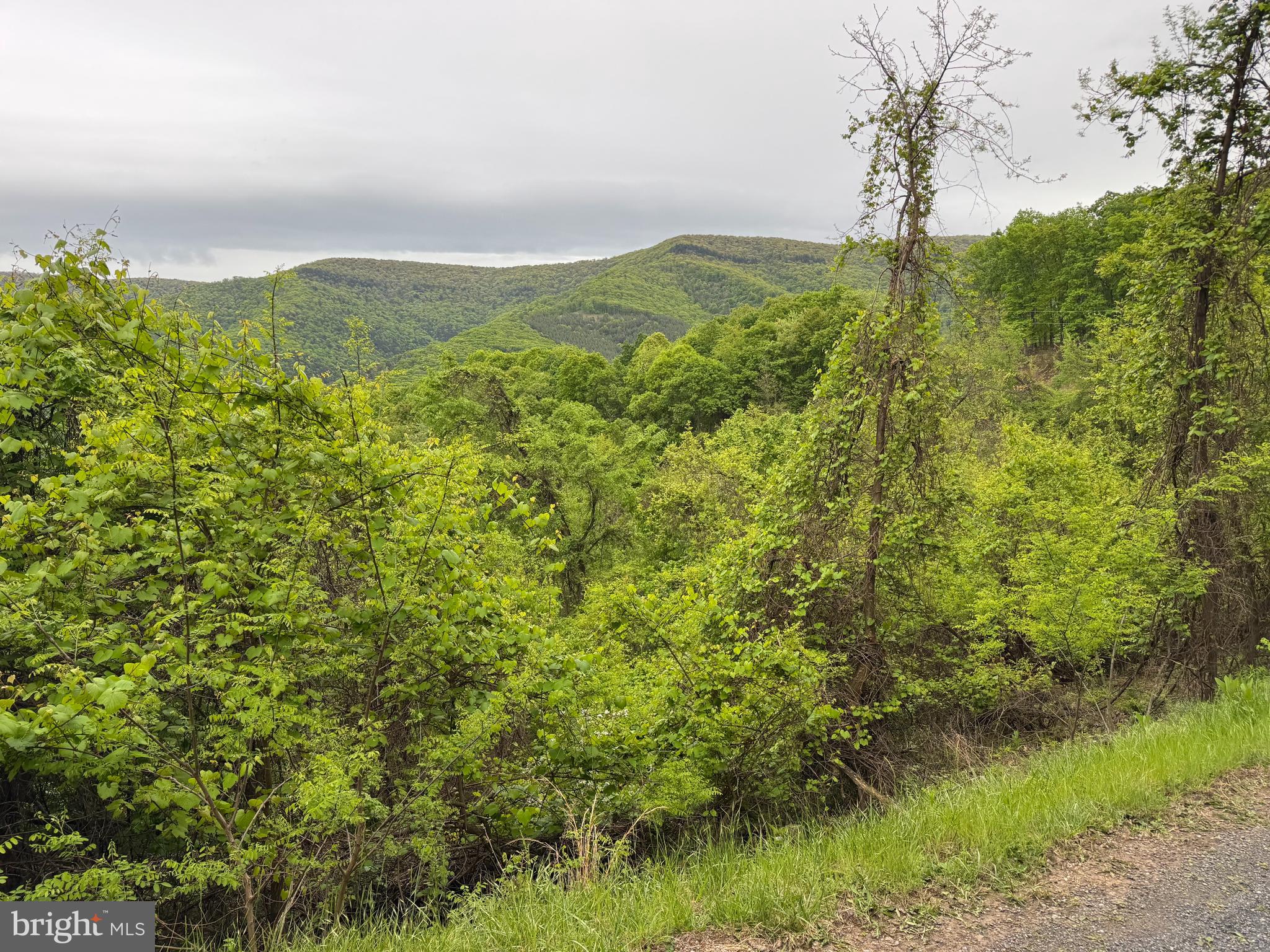 213 Hampshire Ridge Romney, WV 26757 - Photo 5 of 8 a view of lake with green space