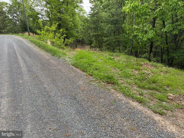 a view of a yard with a trees