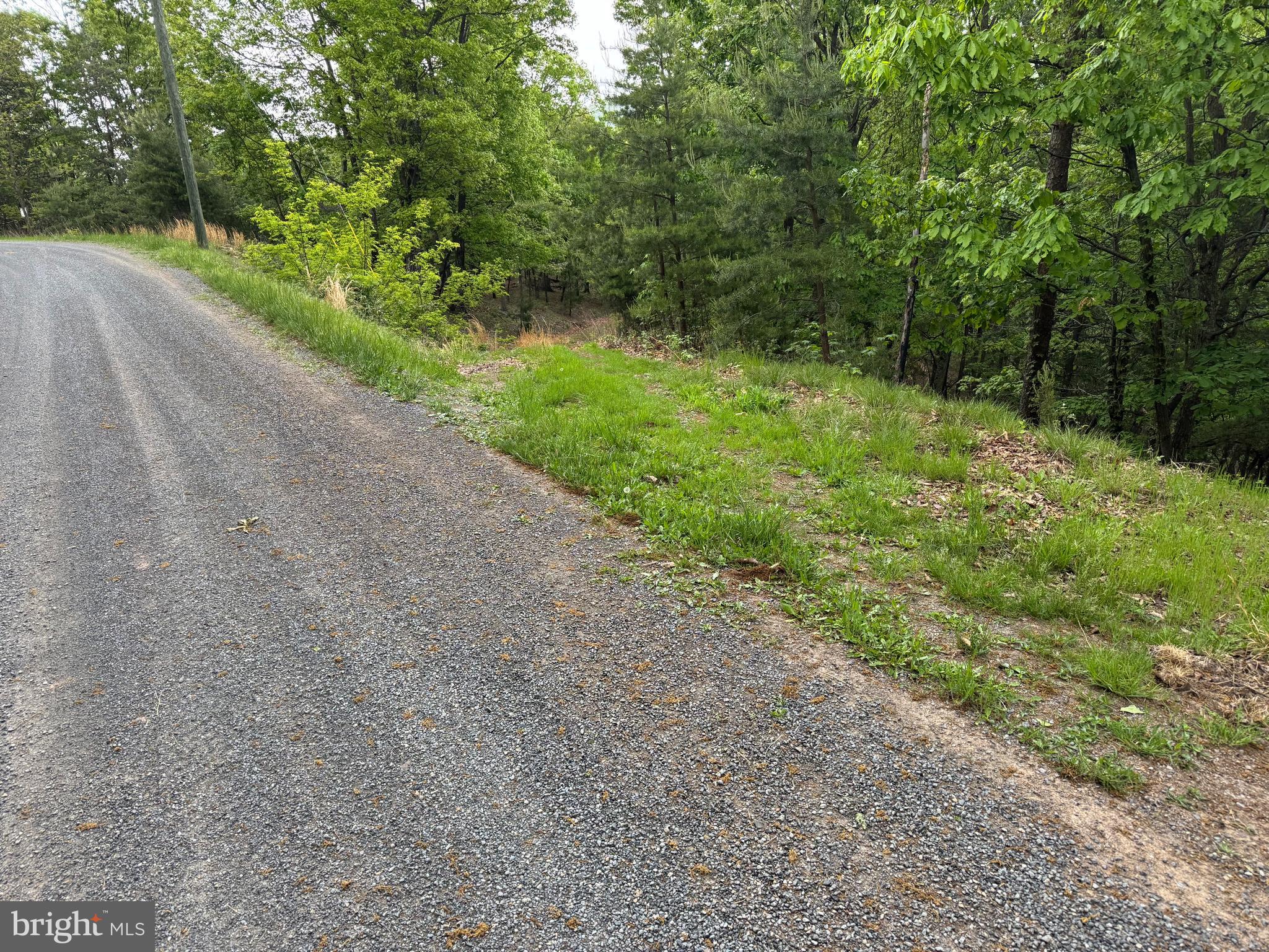 213 Hampshire Ridge Romney, WV 26757 - Photo 7 of 8 a view of a yard with a trees