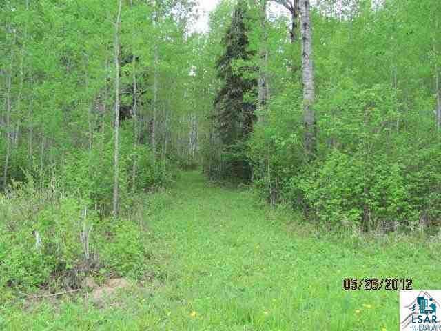 3367 Salo Road Embarrass, MN 55732 - Photo 8 of 8