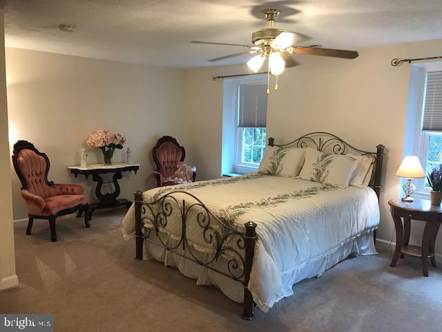 9759 Reeves Court Warrenton, VA 20186 - Photo 21 of 34 Spacious Master Bedroom