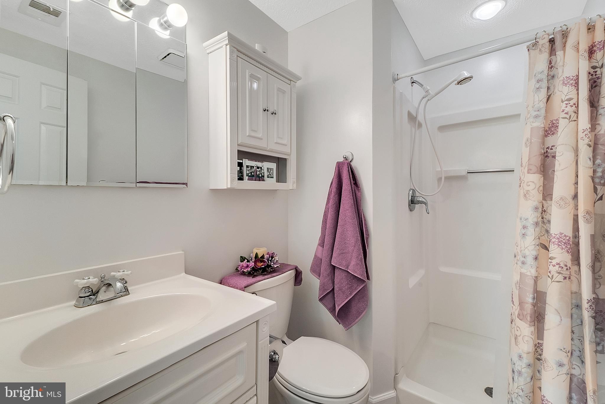 9759 Reeves Court Warrenton, VA 20186 - Photo 23 of 34 Updated Master Bath
