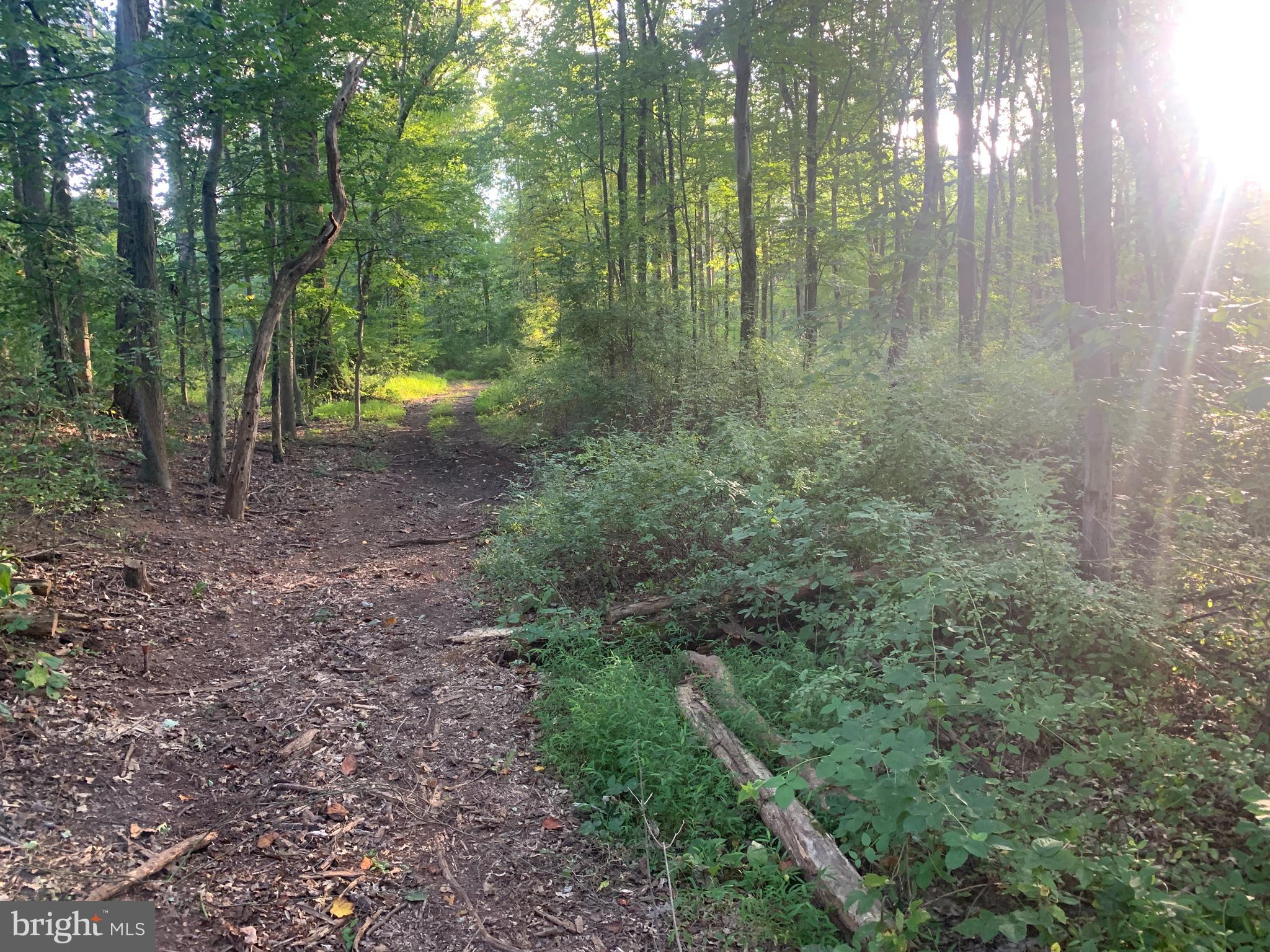 340 Galen Hall Road Reinholds, PA 17569 - Photo 13 of 28 Woods