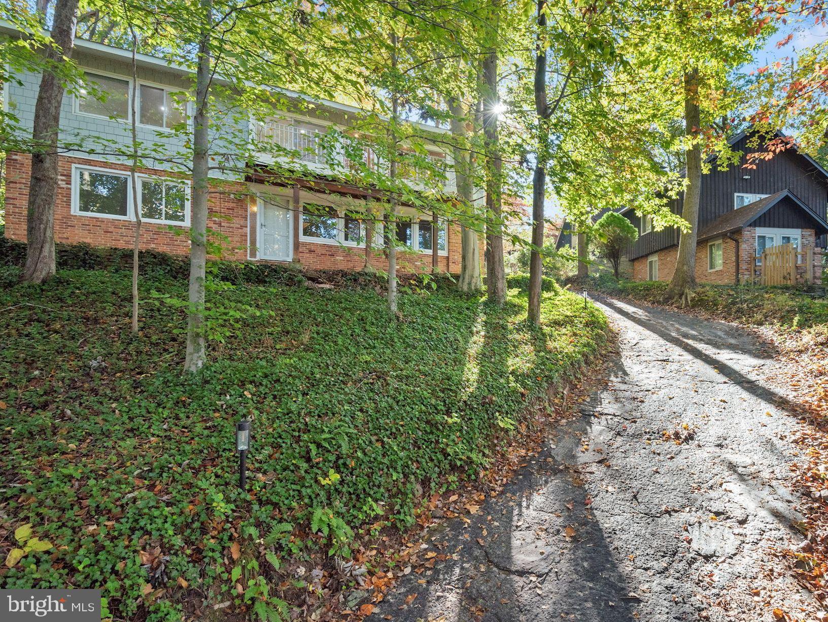 6530 Walhonding Road Bethesda, MD 20816 - Photo 1 of 29 Life in the Forest!