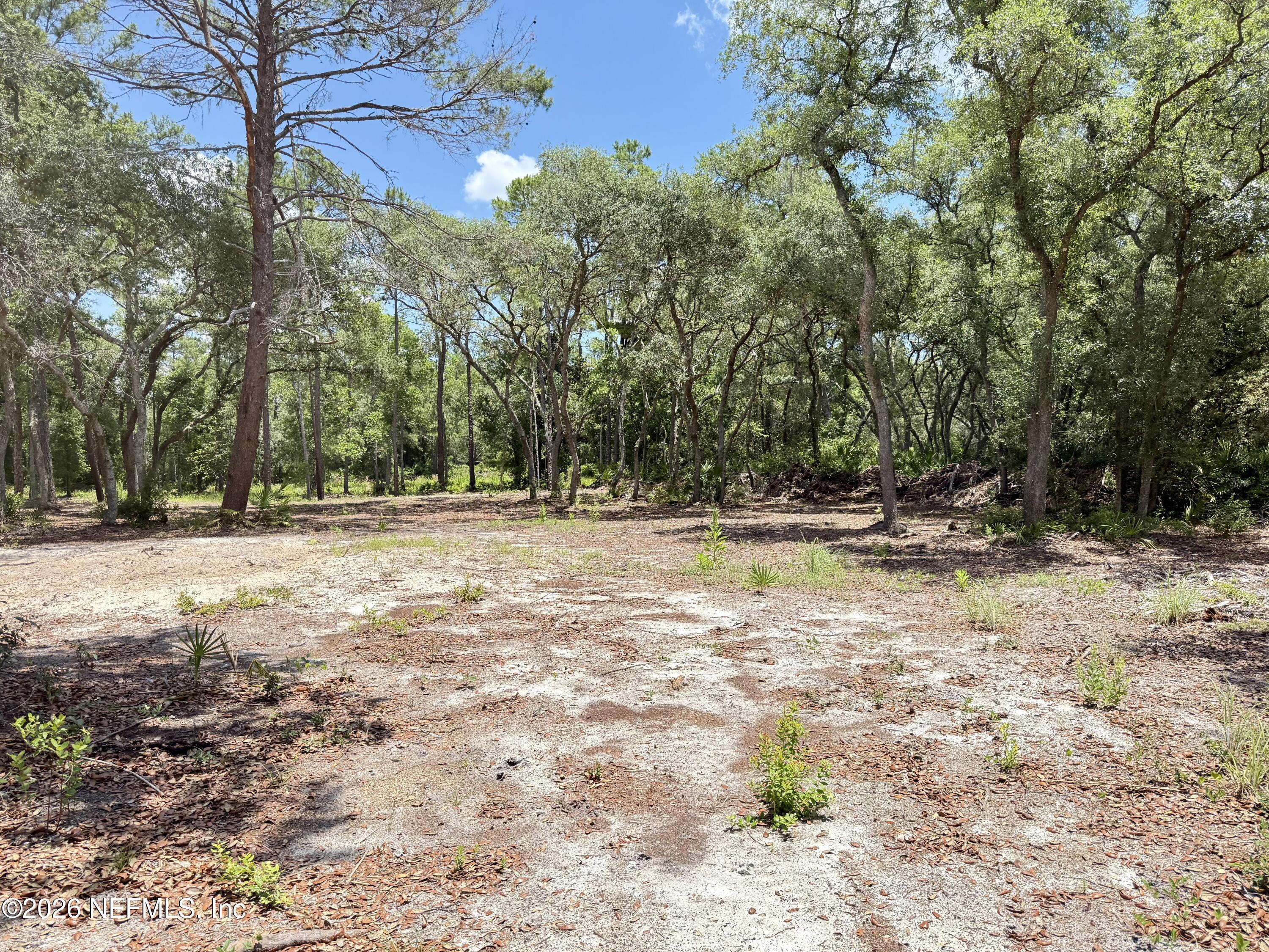 438 Chamberlain Road Satsuma, FL 32189 - Photo 6 of 21 IMG_2954