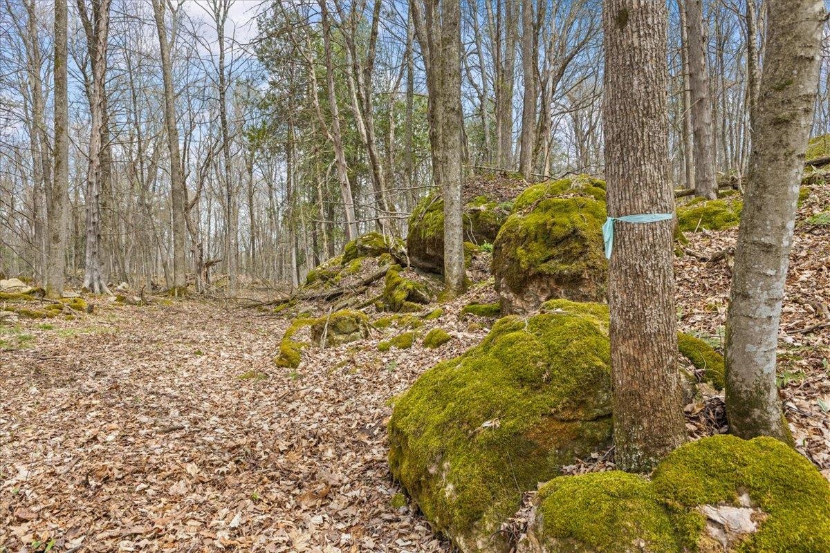 0 Bullock Road, Unit LOT #1 Milton, VT 05468 - Photo 25 of 49