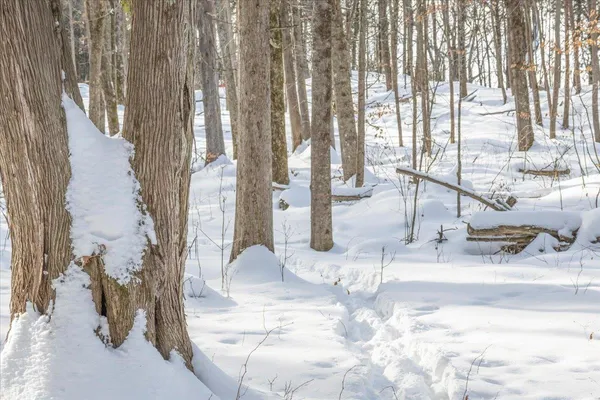 $249,000 | 0 Bullock Road, Unit LOT #1, Milton, VT 05468