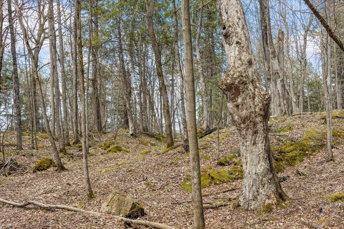 0 Bullock Road, Unit LOT #1 Milton, VT 05468 - Photo 27 of 49