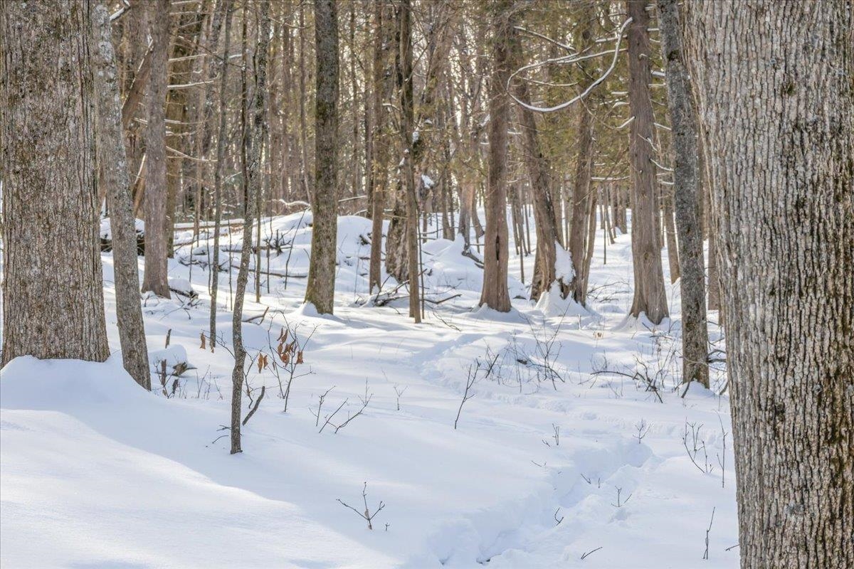 0 Bullock Road, Unit LOT #1 Milton, VT 05468 - Photo 27 of 47