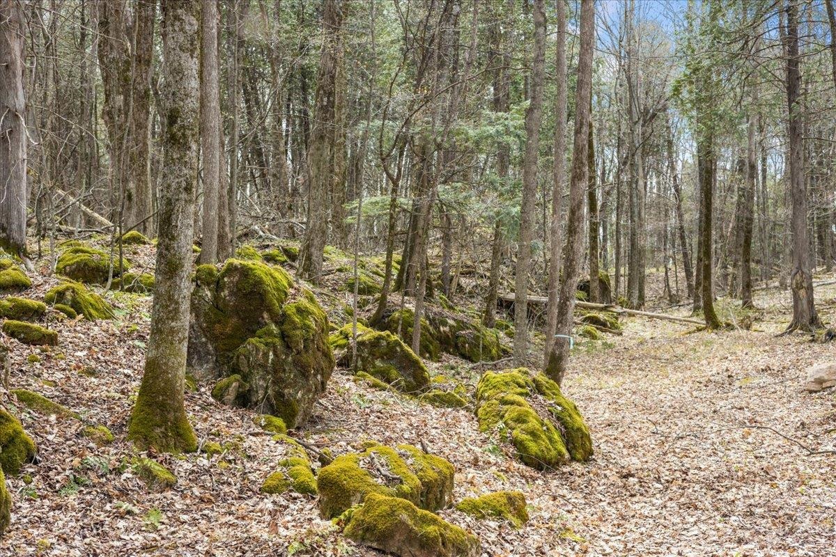 0 Bullock Road, Unit LOT #1 Milton, VT 05468 - Photo 30 of 49