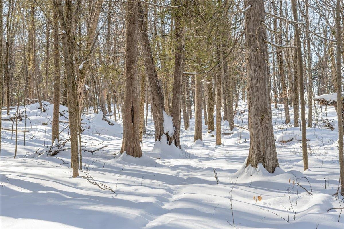 0 Bullock Road, Unit LOT #1 Milton, VT 05468 - Photo 37 of 47