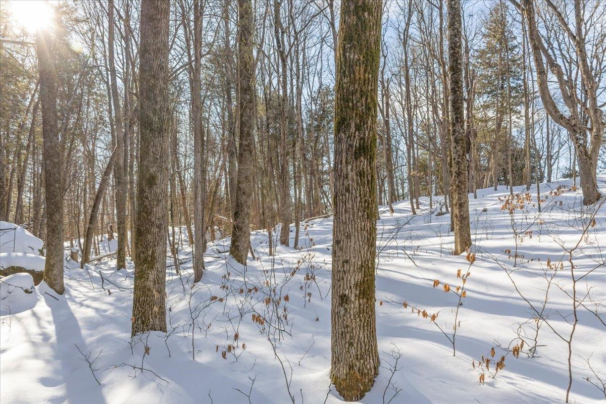 0 Bullock Road, Unit LOT #1 Milton, VT 05468 - Photo 38 of 47