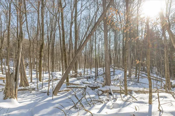 $249,000 | 0 Bullock Road, Unit LOT #1, Milton, VT 05468