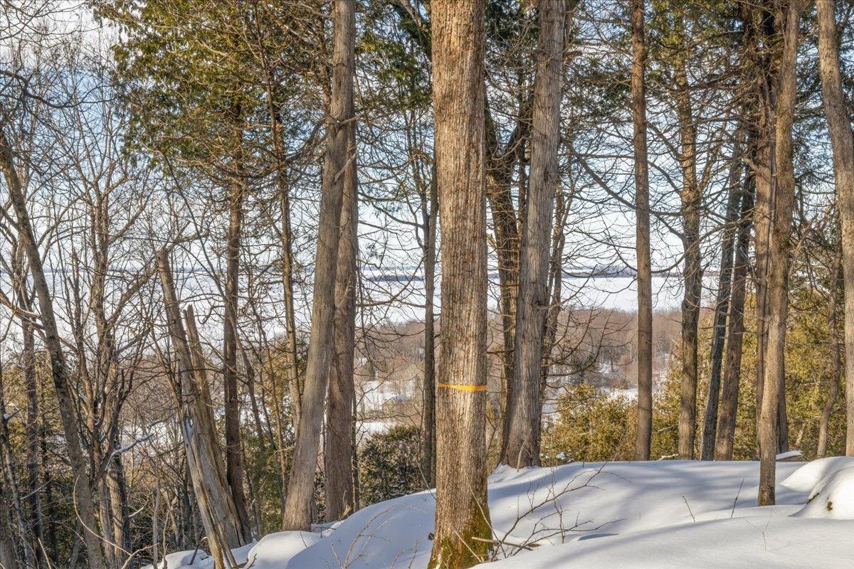 0 Bullock Road, Unit LOT #1 Milton, VT 05468 - Photo 42 of 47