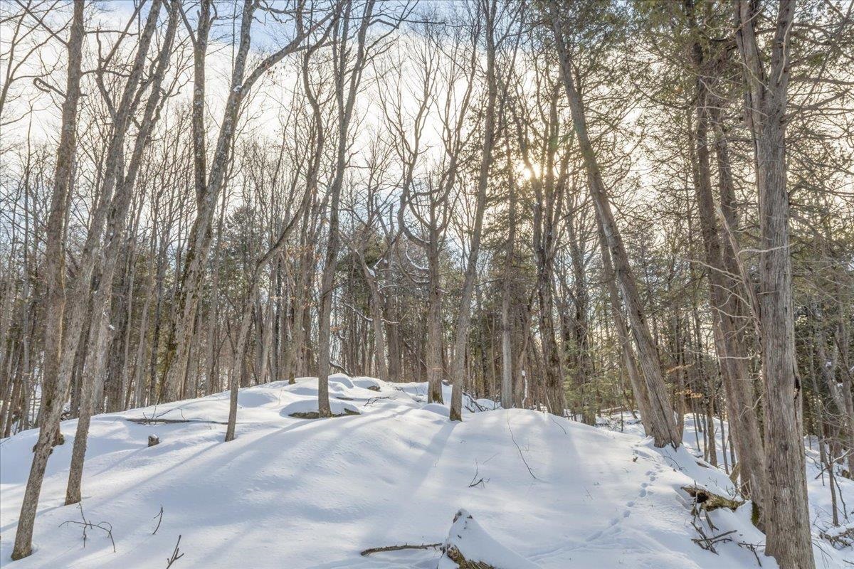 0 Bullock Road, Unit LOT #1 Milton, VT 05468 - Photo 44 of 47