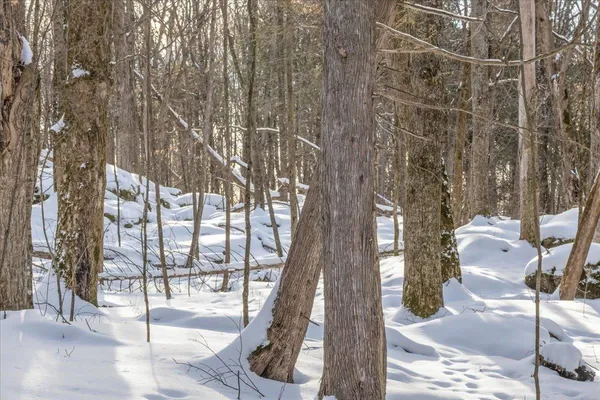 $249,000 | 0 Bullock Road, Unit LOT #1, Milton, VT 05468