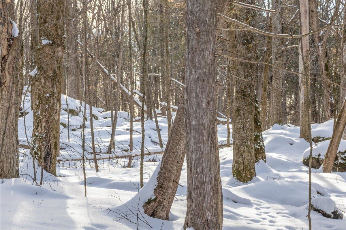 0 Bullock Road, Unit LOT #1 Milton, VT 05468 - Photo 45 of 47