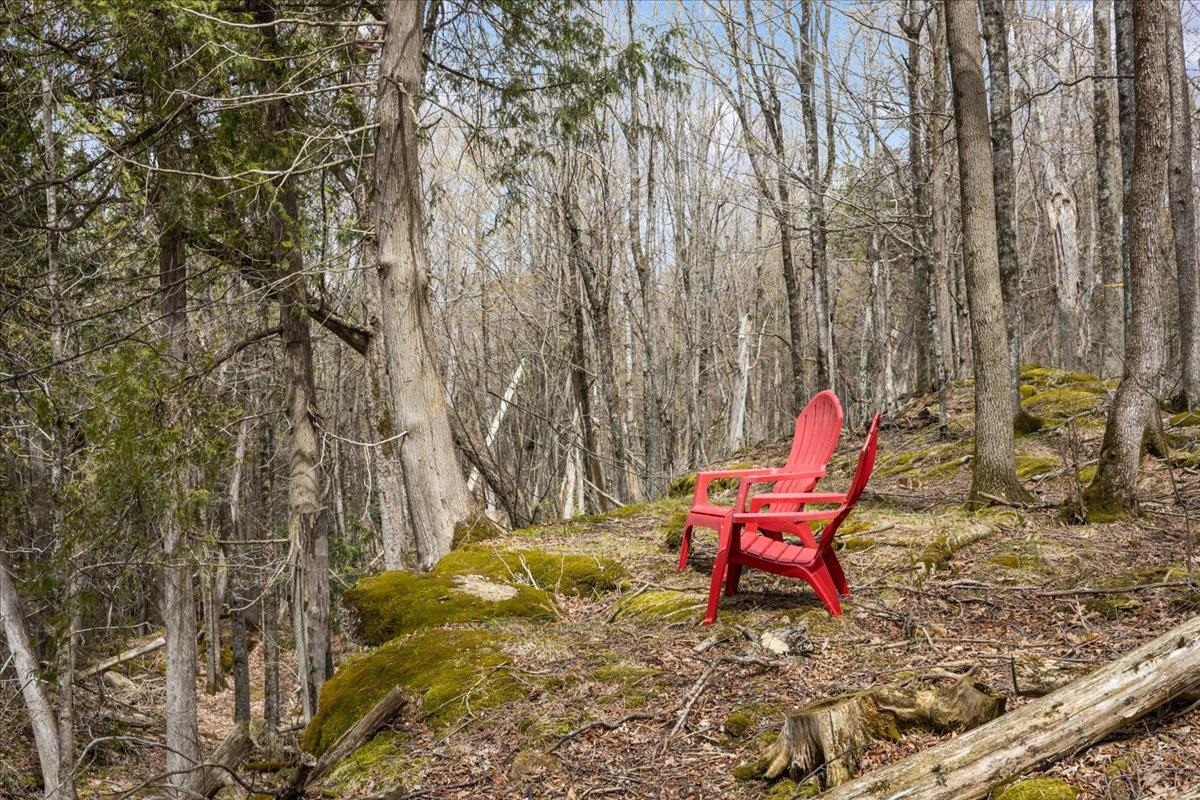 0 Bullock Road, Unit LOT #1 Milton, VT 05468 - Photo 7 of 49