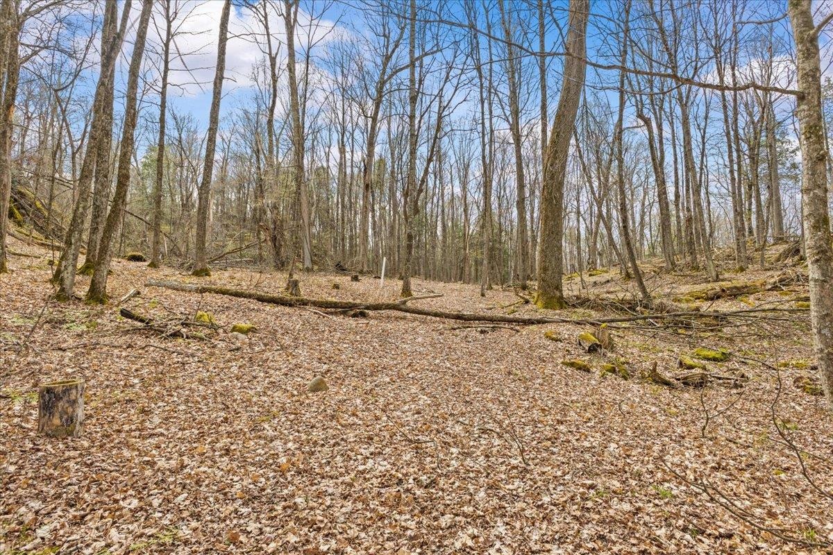 0 Bullock Road, Unit LOT #1 Milton, VT 05468 - Photo 8 of 49