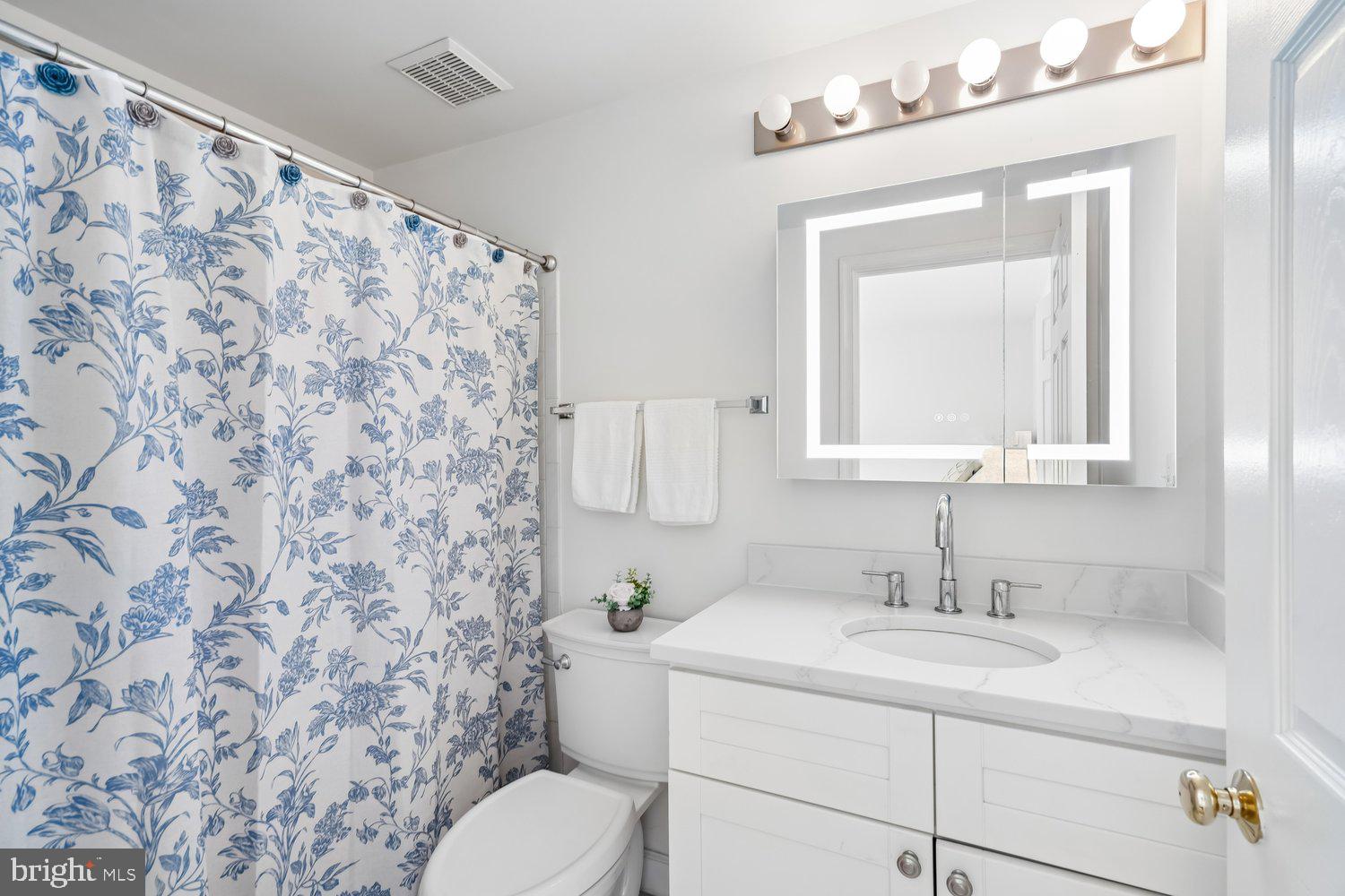 2950 Hobbs Road Glenwood, MD 21738 - Photo 40 of 82 a bathroom with a sink toilet and mirror