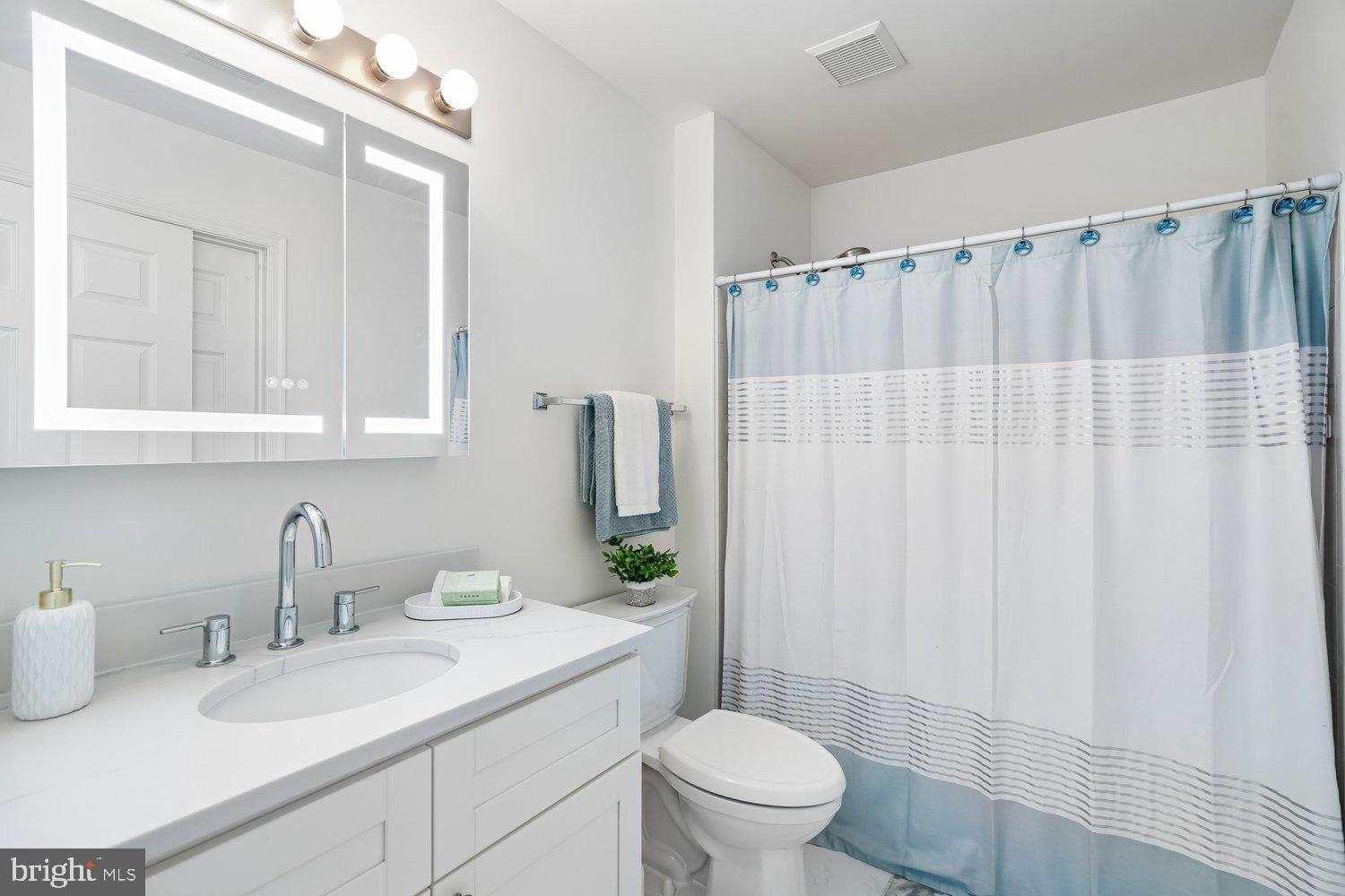 2950 Hobbs Road Glenwood, MD 21738 - Photo 42 of 82 a bathroom with a sink a toilet and a mirror