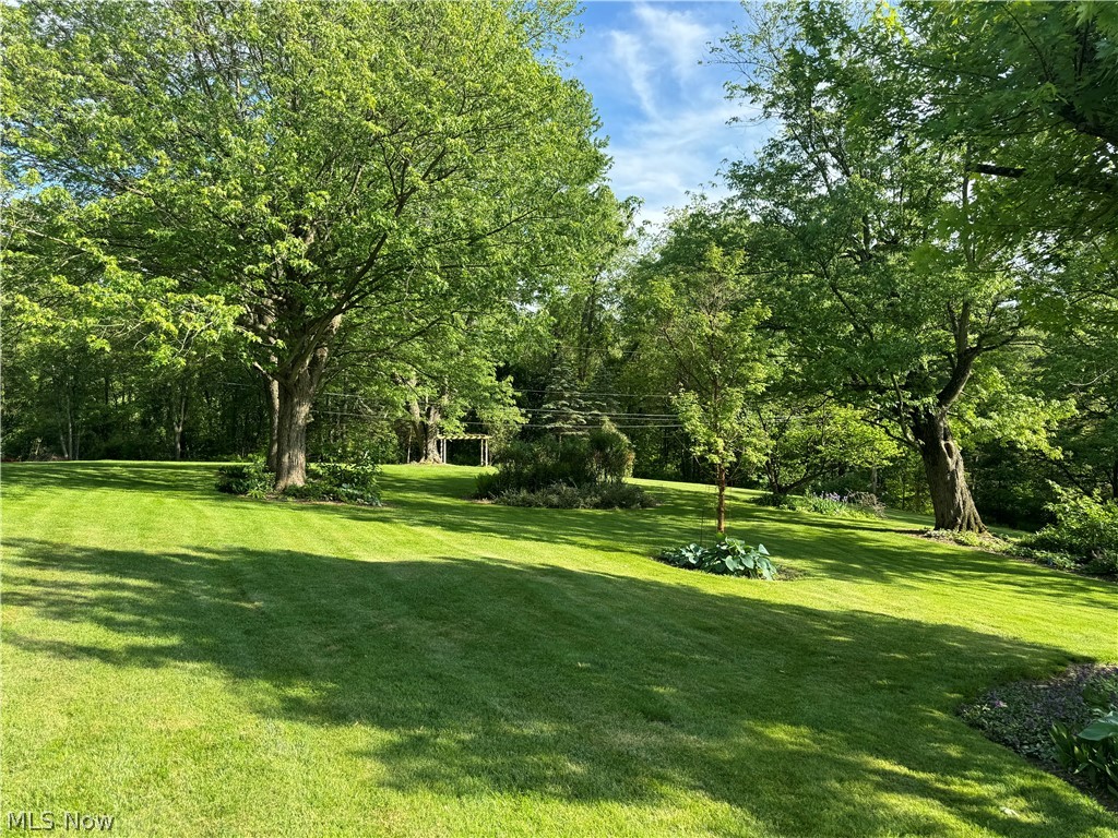 123 E Road Toronto, OH 43964 - Photo 29 of 34 View of yard