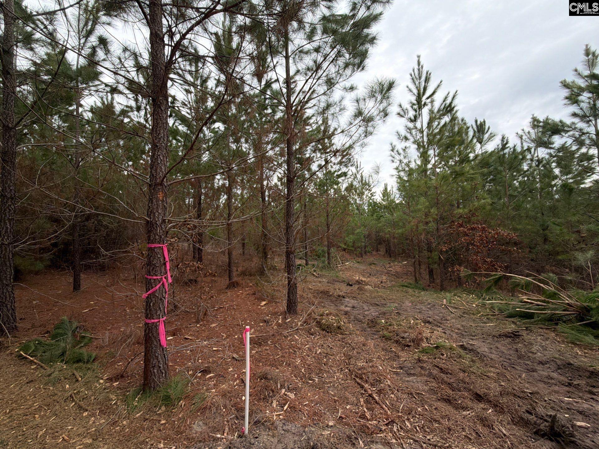 4 Jc Barefoot Road, Unit BFF II 4 Patrick, SC 29584 - Photo 32 of 32