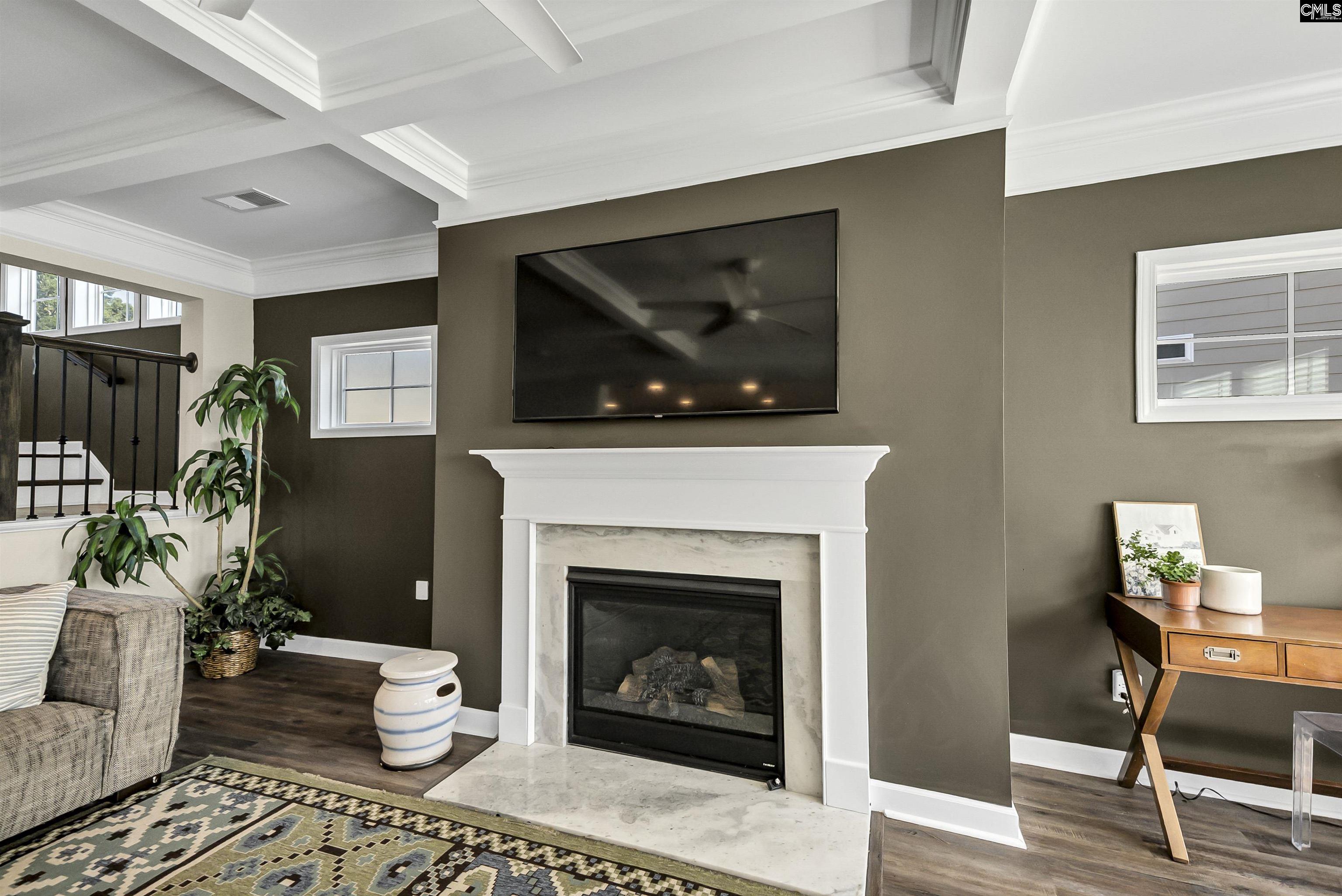 515 Malachite Lane Chapin, SC 29036 - Photo 3 of 63 a living room with furniture and a fireplace