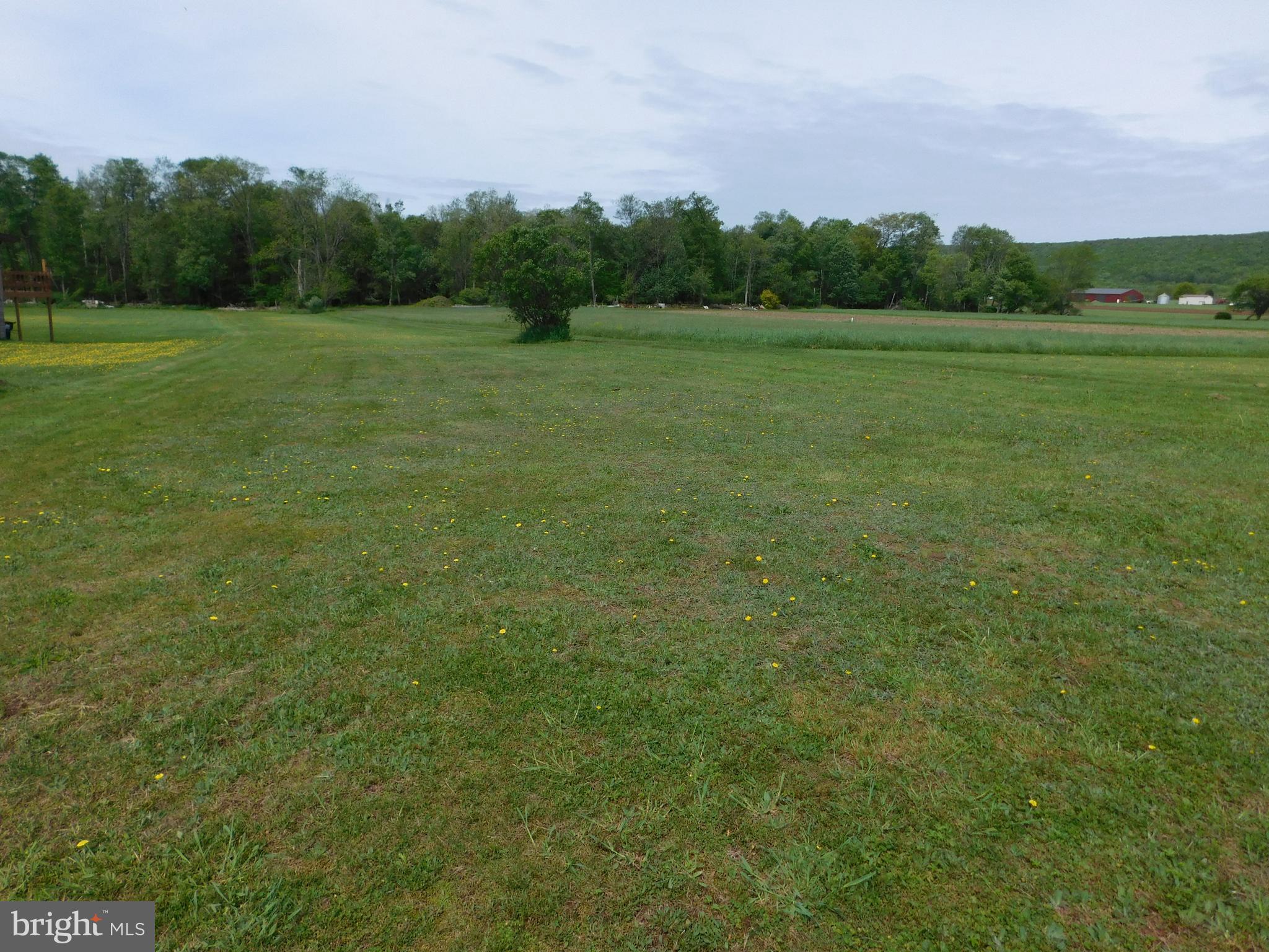 3551 Quakake Road Weatherly, PA 18255 - Photo 8 of 15 a view of field with trees in the background