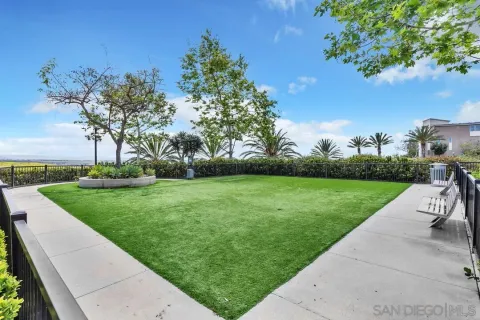 a view of a park with plants and trees
