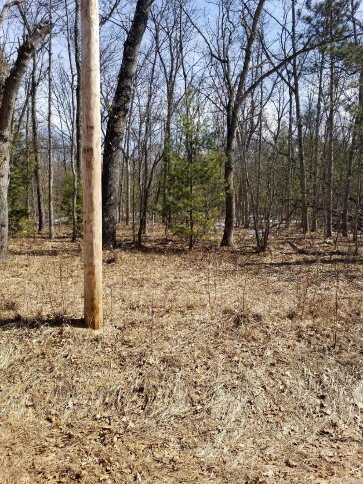 1197 South Baker Road Wellston, MI 49689 - Photo 2 of 2 20180321_132836