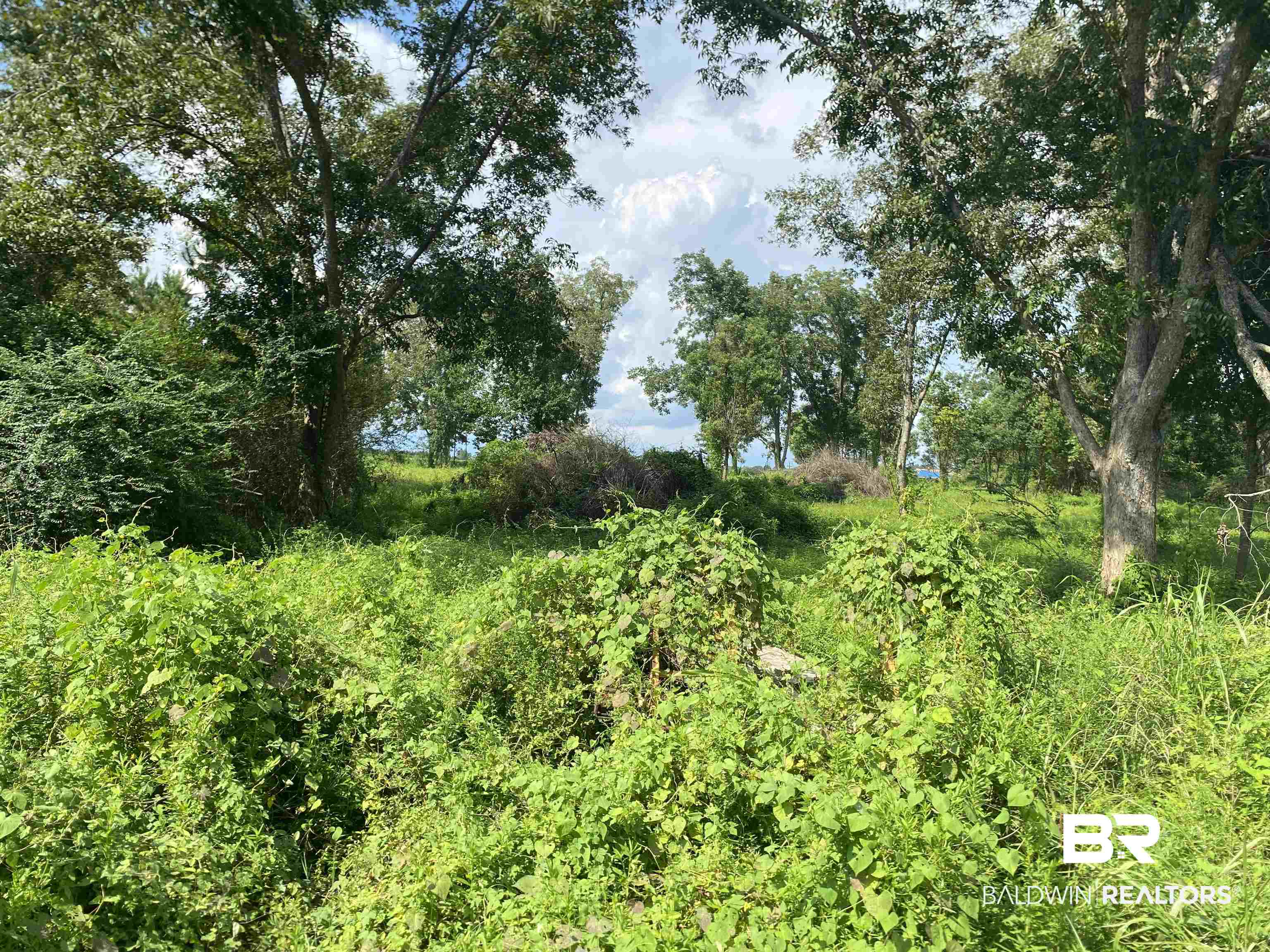 16827 Engel Lane Foley, AL 36535 - Photo 8 of 10 View from Ray Gardner Ln
