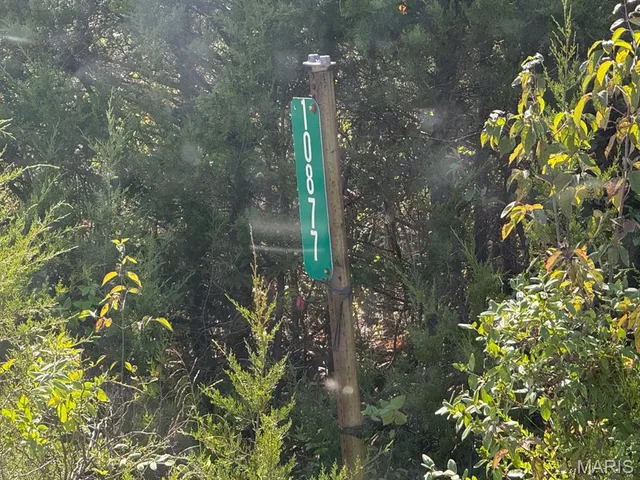 $50,000 | 7 Lakeview Meadows, Cadet, MO 63630