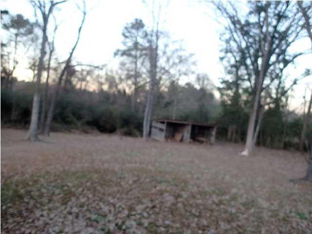 140 Jim Turner Road Mendenhall, MS 39114 - Photo 9 of 9 1.1 acres surrounded by woods