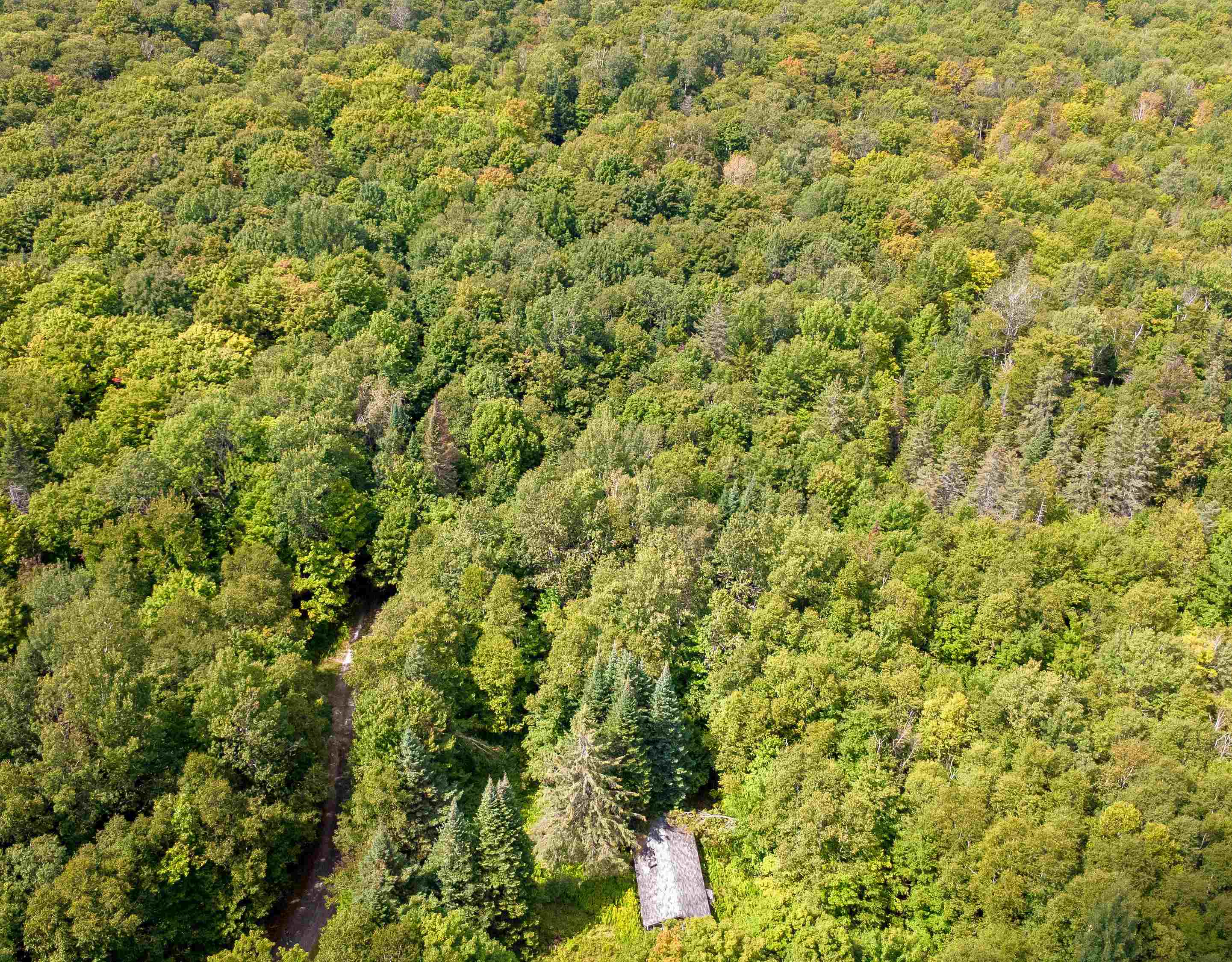 1832 Kinney Hill Road Newark, VT 05871 - Photo 12 of 13 Gallery Image 12