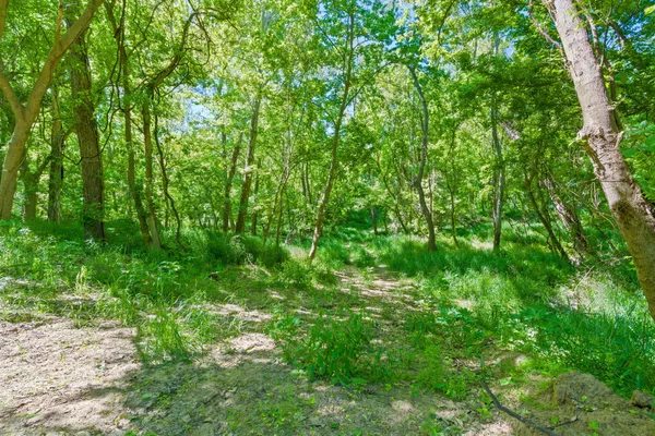 $1,850,000 | 665 Sh 230 Loop, Smithville, TX 78957