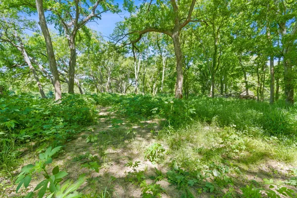 $1,850,000 | 665 Sh 230 Loop, Smithville, TX 78957