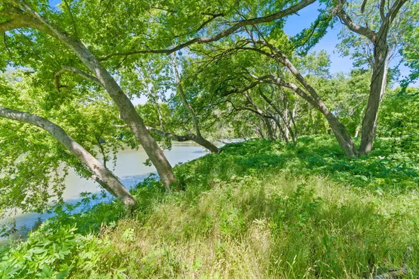 $1,850,000 | 665 Sh 230 Loop, Smithville, TX 78957