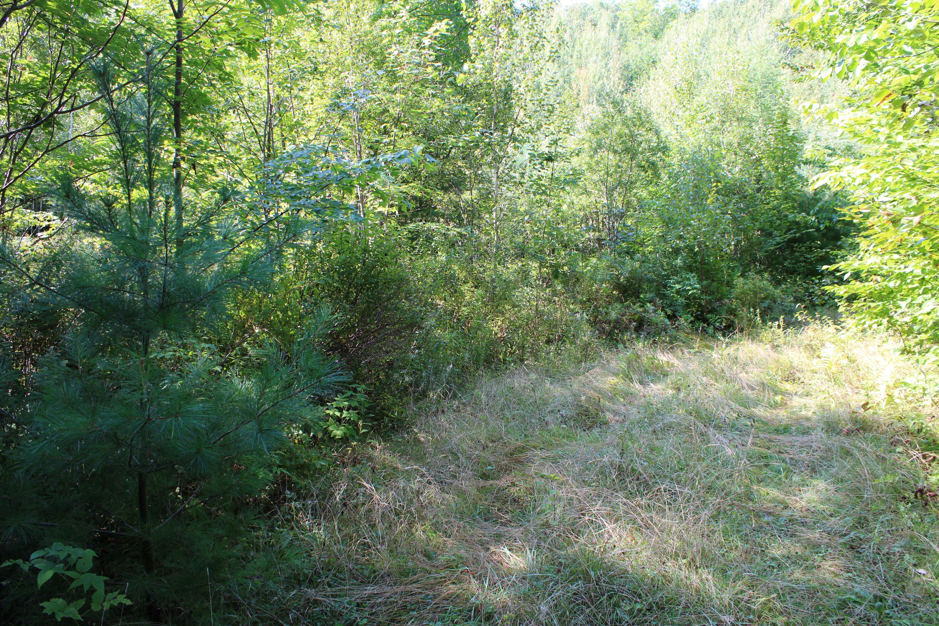 M7-l1-15 Pine Bluff Road Embden, ME 04958 - Photo 6 of 10 5