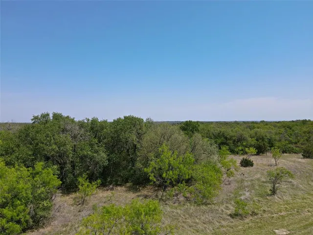 a view of a lake with a forest