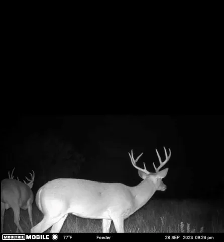 a balcony with table and chairs
